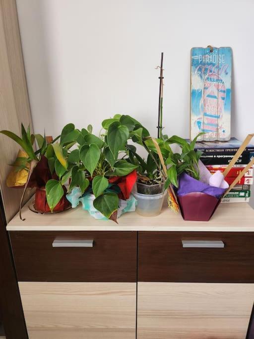 Modern Apartment. Best Location Sofia Esterno foto